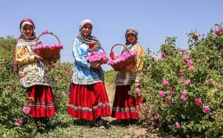 Iran attractions - Rosewater Festival